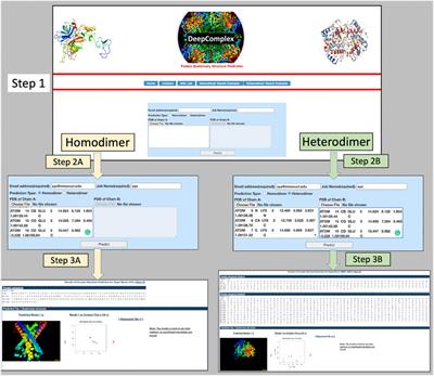 DeepComplex: A Web Server of Predicting Protein Complex Structures by Deep Learning Inter-chain Contact Prediction and Distance-Based Modelling